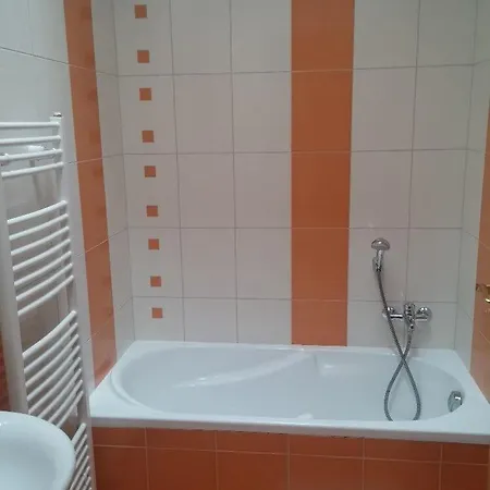 Guest house Tereza 4*
