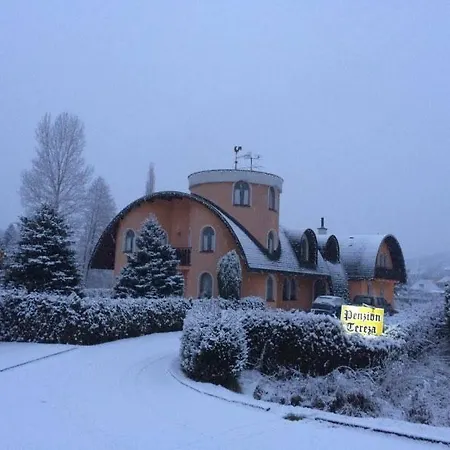 Guest house Tereza Nachod